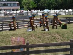 -前小桔亲子创意农场·草莓采摘·露营烧烤