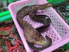 -都斛海鲜街