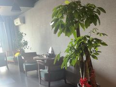 -梵猫·新养生(湛江鼎盛店)