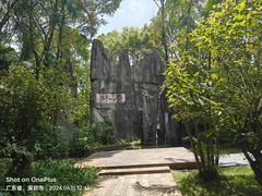 -深圳国际园林花卉博览园