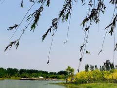-东郊湿地公园