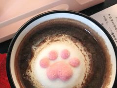 -喵屿·大理花园猫咖