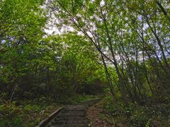 -桃花岭景区