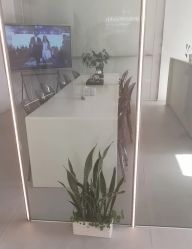 -紫琪尔·胸部养护护理