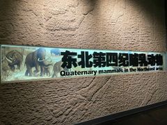 -大庆市博物馆
