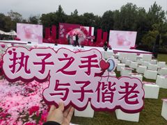 -径山花海