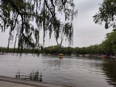 -北陵公园