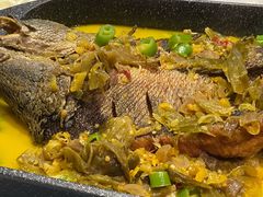 -心怡东北烤冷面(赤峰路店)