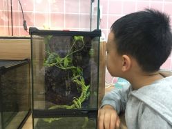 -Moni星球萌宠·小马宝莉·灵蛇·高端高阶全萌宠互动体验俱乐部(红豆国际广场店)