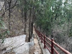 -佛慧山