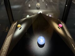 -美国自然历史博物馆