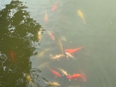 -宜兴龙背山森林公园