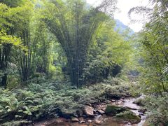 -四洞沟景区