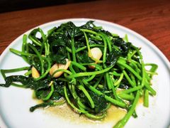 -八闽饭店闽南小镇(铁西店)