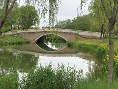 -东郊湿地公园