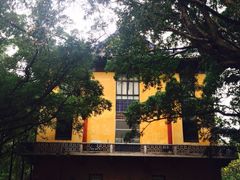 中山大学(南校区)-中山大学学者灵芝(园南路店)