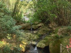 -大雁山风景区