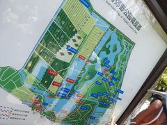 -西青郊野公园