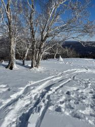 -大秃顶子山