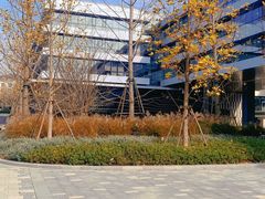 -阿里中心·杭州Z空间