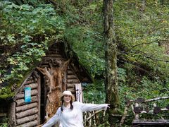 -峡谷浮石林景区