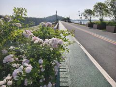 -南京金牛湖风景区