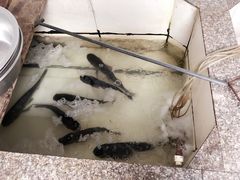 -天目湖刘老四农庄