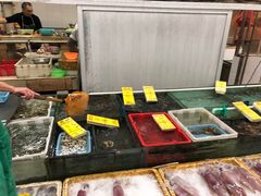 -鸿达渔港