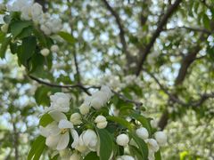 -元大都城垣遗址公园