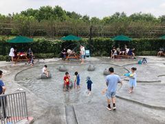 -季高兔窝窝亲子园(上海薰衣草公园店)