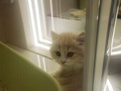 -北京清河万象汇