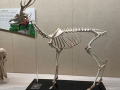 -广东省博物馆