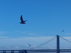 -星海广场