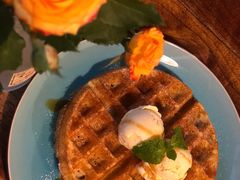 -蓝壁虎咖啡酒馆