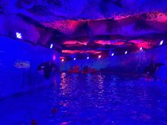 -青岛东方影都融创水世界