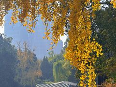 -南京中国近代史遗址博物馆(南京总统府)