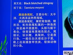 -南京海底世界