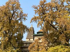 -北京石刻艺术博物馆(五塔寺)