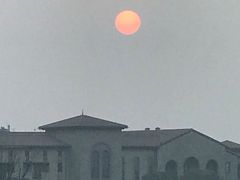 -上海崇明金茂凯悦酒店