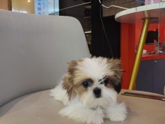 -成都银泰中心in99