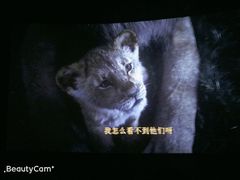 -金逸影城(大悦城IMAX激光店)