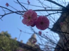 -古德寺