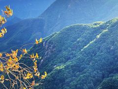 -白草畔自然风景区