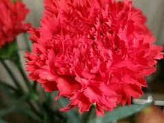 -奥美花店(天津市住房公积金管理中心河东管理部店)