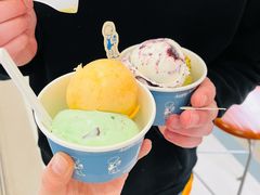 -海比甜店·意式手工冰激淋happy habit gelato