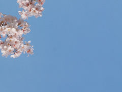 -长田漾湿地公园