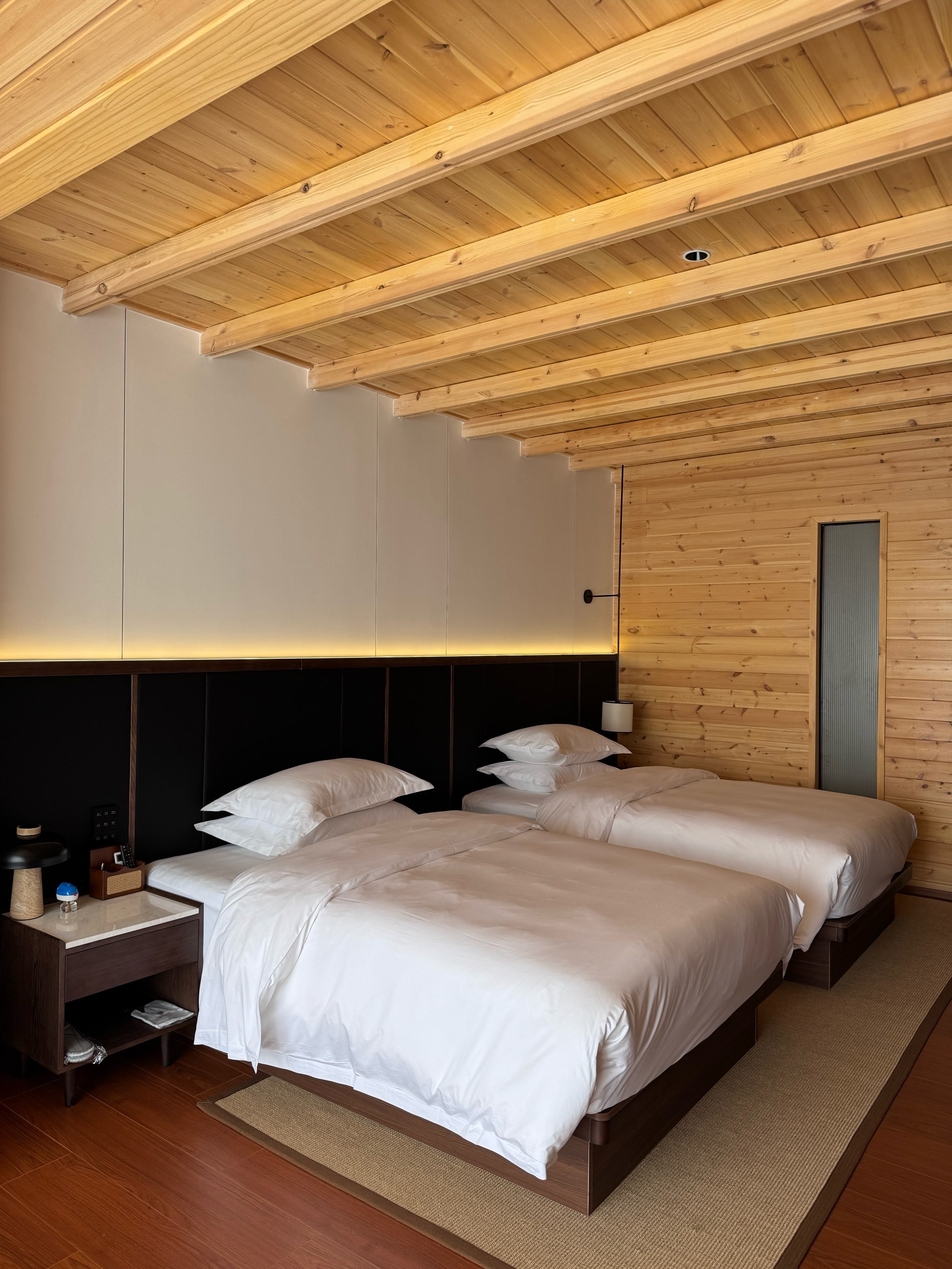 周末|🌿被治愈的48小时