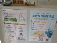 -关爱宠物医院·猫科中心·消化科(滨湖万达分院)