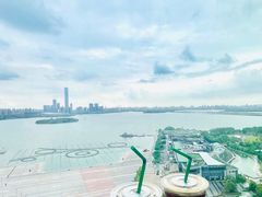 -洄归山也·高空C位湖景下午茶(东方之门店)