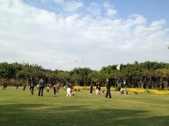 草坪-白鹭洲公园